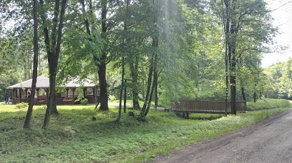 Las Rudki (Leśnictwo Rudki)