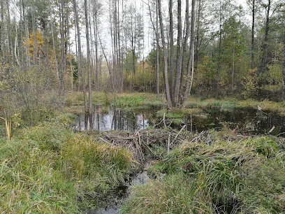 Park Krajobrazowy Lasy Janowskie