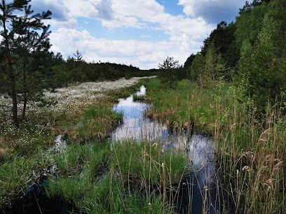 Rezerwat Imielty Ług